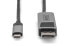 Фото #2 товара DIGITUS USB Type C to DisplayPort Bi-directional Adapter Cable