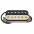 Fender Shawbucker 1 Pickup Zebra