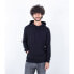 Фото #1 товара HURLEY Nic hoodie