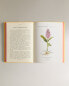 Фото #5 товара Atlas de poche des plantes champs, des prairies et des bois sér 1 book