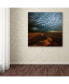 Фото #3 товара Franz Schumacher 'Mammatus' Canvas Art - 18" x 18" x 2"