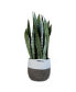 Фото #2 товара BloemBagz Round Fabric Planter Bag with Handles and Liner, Black/White 12inches