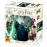 PRIME 3D Harry Potter Lenticular Voldemort Puzzle 300 Pieces