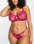 Фото #1 товара Dorina Curve – Desiree – Nicht wattierter Spitzen-BH in Fuchsia