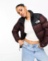 Фото #4 товара The North Face Nuptse Retro '96 down puffer jacket in brown and black