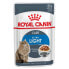 ფოტო #2 პროდუქტის ROYAL CANIN Ultra Light 85g Wet Cat Food 12 Units