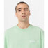 ფოტო #5 პროდუქტის DICKIES Dighton short sleeve T-shirt