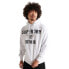 Фото #1 товара SUPERDRY Corporate Logo Foil hoodie