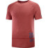 ფოტო #4 პროდუქტის SALOMON Cross Run Graphic short sleeve T-shirt