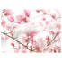 Фото #2 товара Tischset Magnolien (12er-Set)