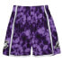 Фото #1 товара Mens Mitchell & Ness NBA GALAXY SWINGMAN SHORTS - LA LAKERS 2009