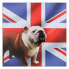 Фото #3 товара Wandbild Bulldogge Hund Englisch Flagge