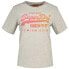 Фото #2 товара SUPERDRY Tonal Vl Graphic Relaxed short sleeve T-shirt