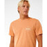 ფოტო #5 პროდუქტის RIP CURL Stapler short sleeve T-shirt