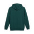 Фото #2 товара Puma Cat Logo Pullover Hoodie Mens Green Casual Outerwear 67271243