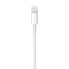 Фото #5 товара Apple Lightning to USB Cable - Cable - Digital 0.5 m - 4-pole