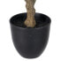 Decorative Plant Polyethylene Iron PEVA Oak 76 cm