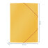 Esselte Leitz 30020019 - Conventional file folder - Yellow - Matt - Portrait - 150 sheets - 80 g/m²