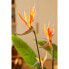 Фото #5 товара Искусственные цветы Emerald Strelitzia