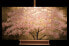 Фото #14 товара Bild handgemalt Short and Sweet Sakura