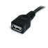 Фото #7 товара 3 ft Black USB 2.0 Extension Cable A to A - M/F - 0.91 m - USB A - USB A - Male/Female - 480 Mbit/s - Black