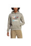 Фото #4 товара Толстовка мужская Adidas ALFE TS HOODIE Erkek Sweatshirt IC5730