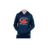 Champion Hooded Sweatshirt