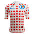 Фото #1 товара SANTINI Tour De France Official GPM Leader 2023 Short Sleeve Jersey