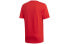 Adidas LogoT DV3053 T-shirt