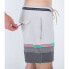 HURLEY Phantom Naturals Sessions 16´´ Swimming Shorts