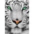 Фото #1 товара Puzzle Sie Weißer Sibirischer Tiger