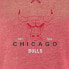 NBA Chicago Bulls Women's Burnout Crew Neck Retro Logo Fleece Sweatshirt - L