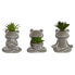 Фото #1 товара Декоративное растение Home ESPRIT полиэтилен Цемент Лягушка 7,5 x 5 x 11 cm (3 штук)