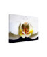 Dana Brett Munich Dove Orchid Canvas Art - 36.5" x 48"