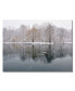 Фото #1 товара Kurt Shaffer 'Winter Goose' Canvas Art - 32" x 22"