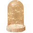 EDM 71674 Crystal Vase LED Light