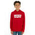 Фото #1 товара LEVI´S ® KIDS Batwing Screenprint hoodie