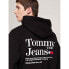 Фото #6 товара TOMMY JEANS Regular Modern Tm hoodie