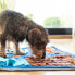 Фото #27 товара Ольфакторный коврик для домашних животных Foopark InnovaGoods