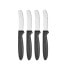 Набор ножей Чёрный Серебристый Нержавеющая сталь Пластик 17 cm (12 штук)
