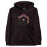 Фото #1 товара BILLABONG Access PO hoodie