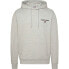 Фото #1 товара TOMMY JEANS Reg Entry Graphic hoodie