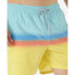 RIP CURL Surf Revival Volley Swimming Shorts