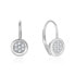 Fine silver earrings with zircons AGUC2709