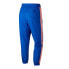 Long Sports Trousers Nike Swoosh Blue Men