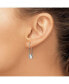 ფოტო #2 პროდუქტის Stainless Steel Polished Lock Earrings