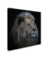 Фото #2 товара Louise Wolbers 'Proud Lion' Canvas Art - 24" x 24" x 2"