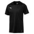 ფოტო #1 პროდუქტის PUMA Liga Core short sleeve T-shirt