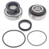 All BALLS 14-1009 Arctic Cat Bearing&Seal Differential Kit