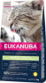 Фото #2 товара EUKANUBA EUKANUBA Adult Hairball Control chicken - sucha karma dla kota - 2 kg